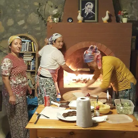 دولفين * فتحية