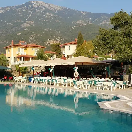 دولفين شقة *