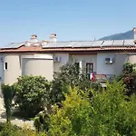 Dolphin Appartement Fethiye