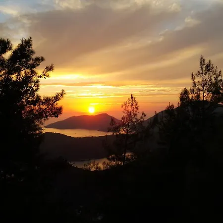 Dolphin Apartment Fethiye