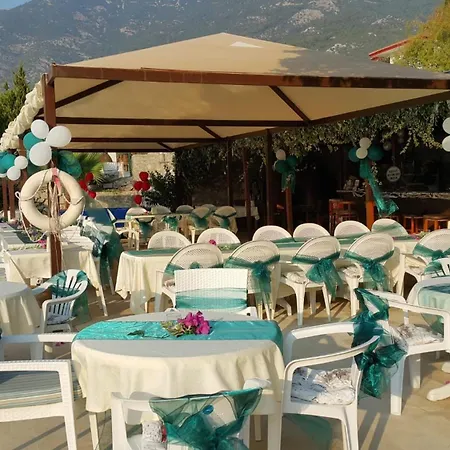 Dolphin Fethiye